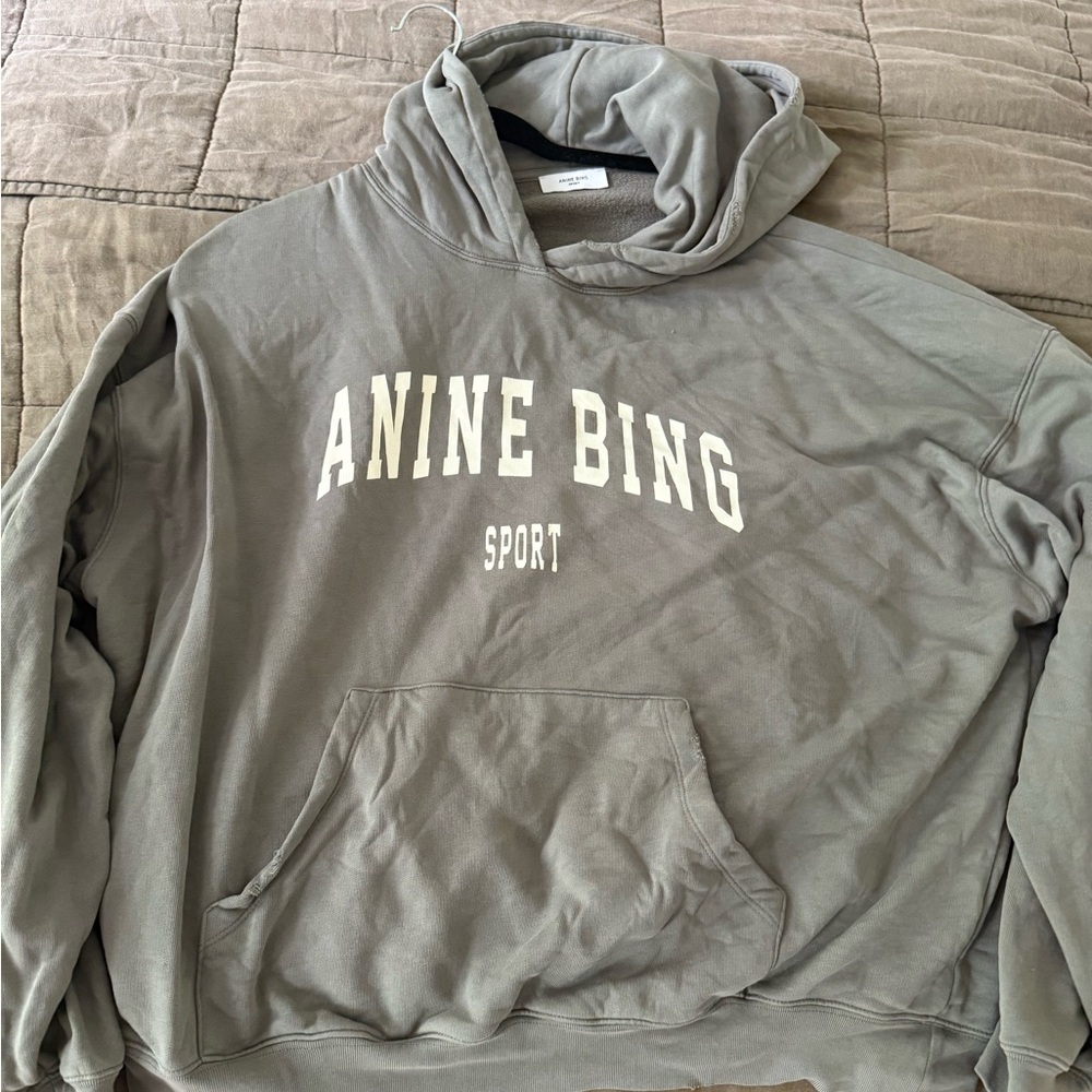 Anine Bing Sport Harvey Hoodie in Sage Green